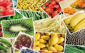 珠海软件开发与广告设计外包 融合创新，驱动企业数字化转型