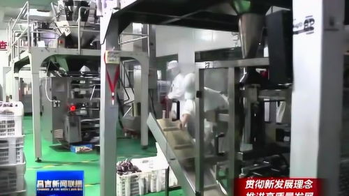 农产品精深加工助推农业高质量发展中的珠海软件开发角色